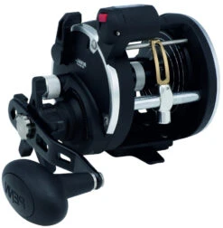 PENN RIVAL LEVEL WIND Rechtshand -Angeln Verkauf 1404003a5Bj3T4MsS8MM 1280x1280