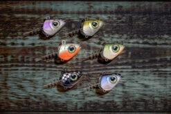 QUANTUM Pelagic Head With Screw - Jigkopf Mit Schraube 11 QUANTUM Pelagic Head With Screw - Jigkopf Mit Schraube -Angeln Verkauf 3457002 6 769059 1280x1280