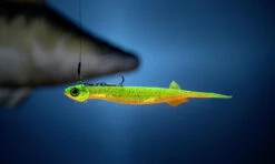 Quantum Pelagic Shad Set Pin-Tail - Gummifisch -Angeln Verkauf 3460004 C2 769242 1280x1280