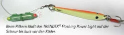 Behr TRENDEX Flashing Power Light 10 Behr TRENDEX Flashing Power Light -Angeln Verkauf Behr Trendex Flashing Light 3 773922 1280x1280