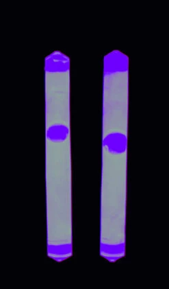 Behr EUROlite Knicklicht 5x 2er Packung -Angeln Verkauf Behr EUROlite Knicklicht pinkbQOHlNhWiPI30 1280x1280