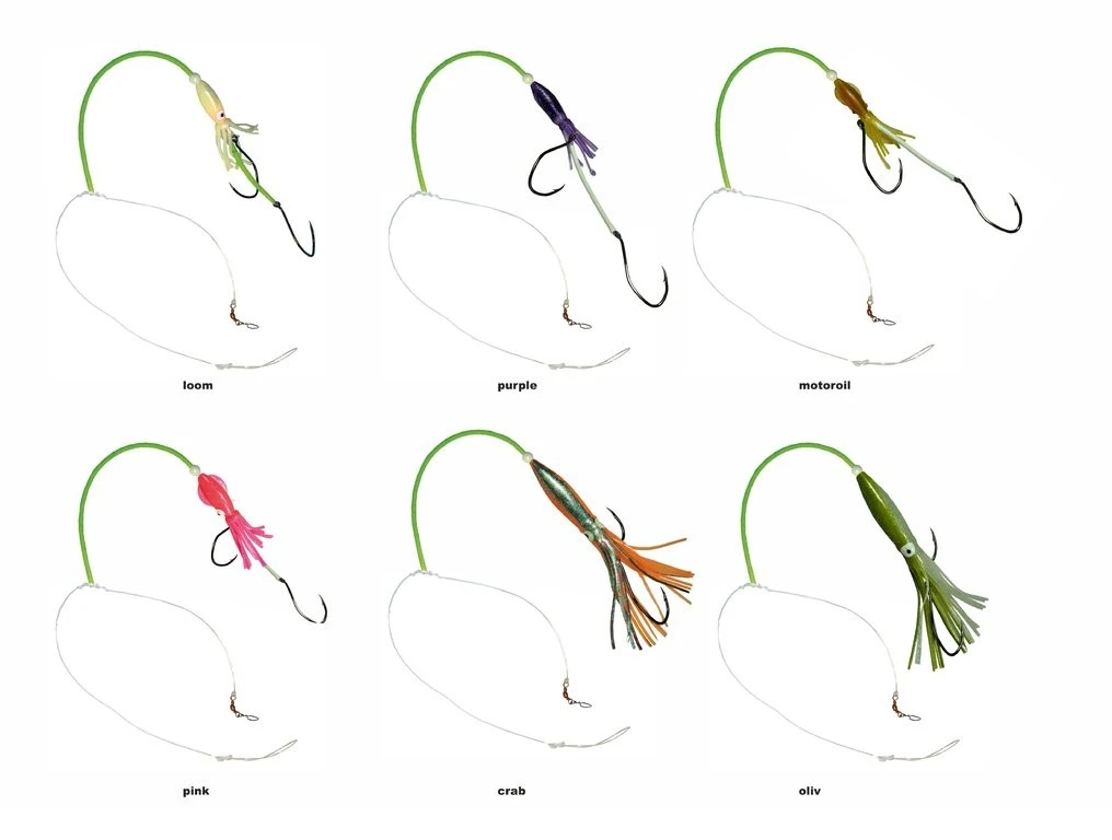 Dieter Eisele Leng Zielfischsystem I 4 Dieter Eisele Leng Zielfischsystem I – Bild 2