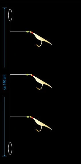 AQUANTIC Dorsch-Großköhler-System