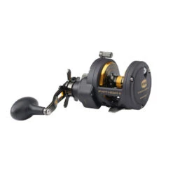 PENN FATHOM II STAR DRAG - Multirolle 11 PENN FATHOM II STAR DRAG - Multirolle -Angeln Verkauf PENN Fathom II Star Drag Reel 25 2019 alt2ZwhuK7dZGt0Rx 1280x1280