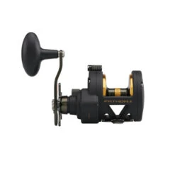 PENN FATHOM II STAR DRAG - Multirolle 12 PENN FATHOM II STAR DRAG - Multirolle -Angeln Verkauf PENN Fathom II Star Drag Reel 25 2019 alt3uD4jjkS0Hw8bZ 1280x1280