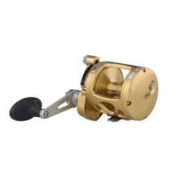 PENN Internationl VI - Multirolle -Angeln Verkauf PENN International VIS 16 Gold 2018 1370776 alt2FeFLL73dkR3ue 1280x1280