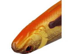 Westin SHADTEEZ Slim 18cm - 27cm - Blister -Angeln Verkauf p165 x3 large 772879 1280x1280