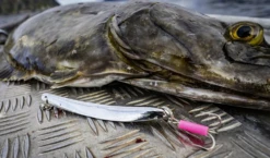 Rhino Chromat Pilker Bleifrei -Angeln Verkauf resize img 2 764358 1280x1280